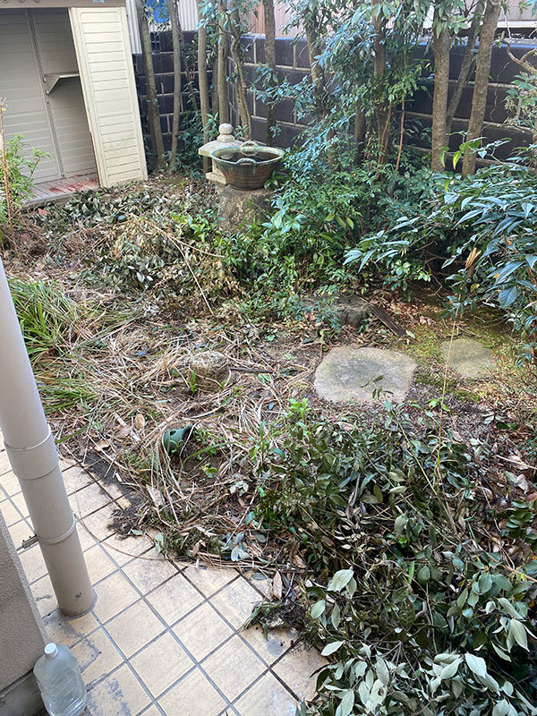 除草・選定作業Before