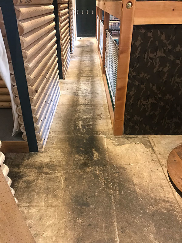 店舗定期清掃Before