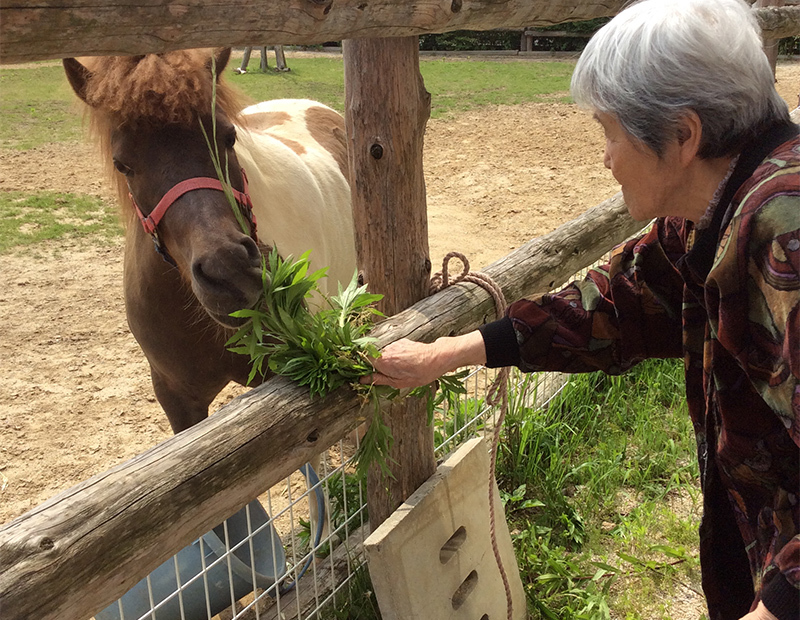 ホースセラピー3