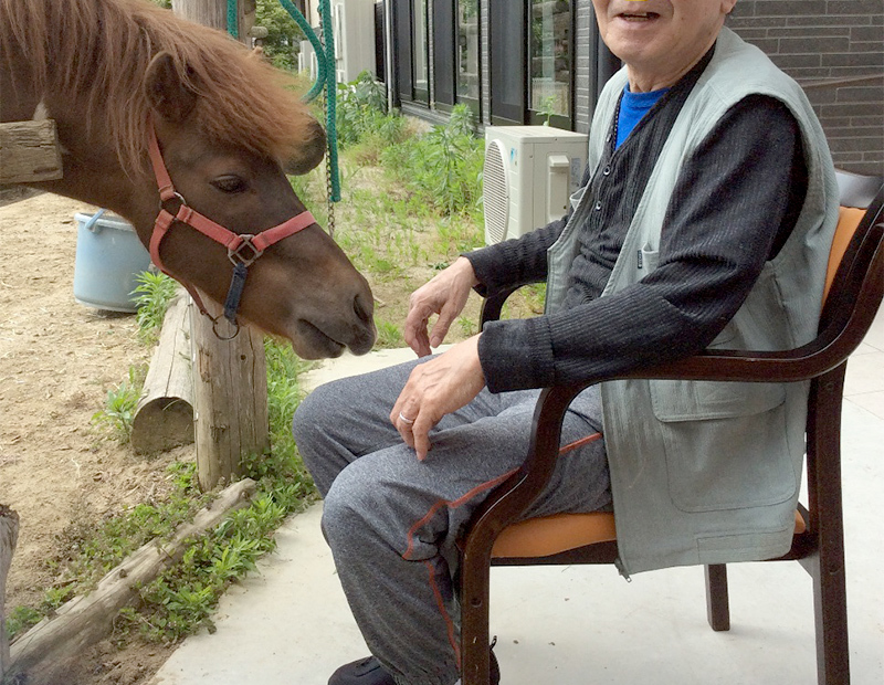 ホースセラピー4