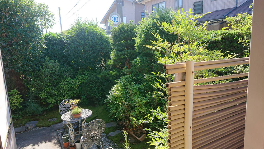 庭剪定ビフォー