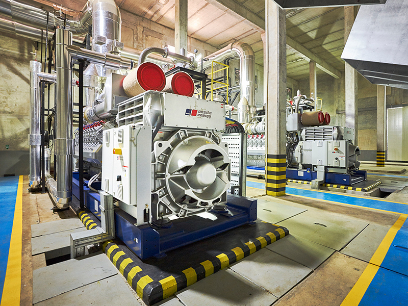 バイオガスプロジェクト