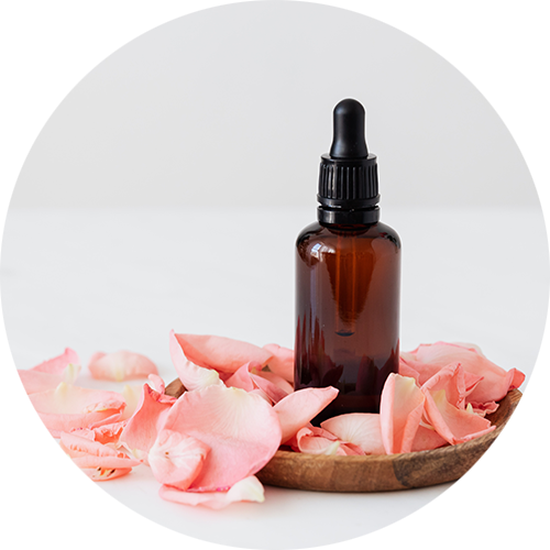 講座・資格について-