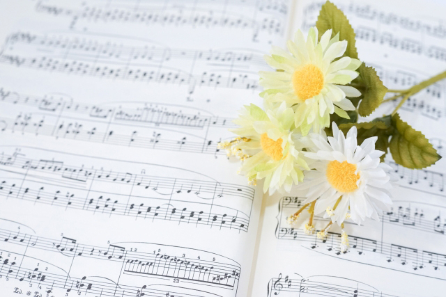 top_ハマナス楽器とは