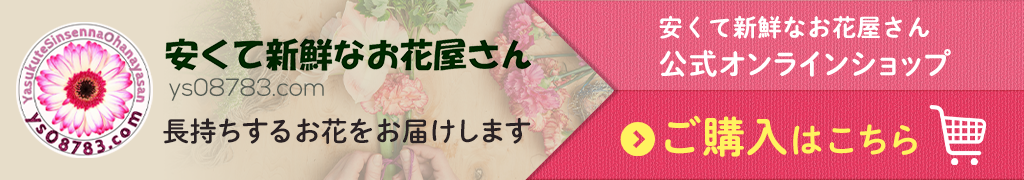 公式オンラインショップ|安くて新鮮なお花屋さん