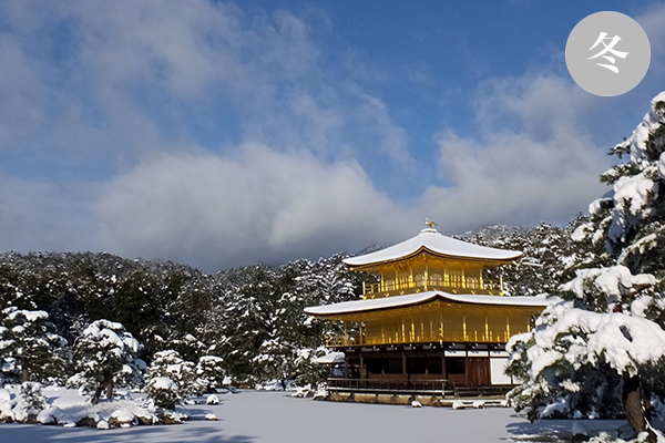 冬の金閣寺