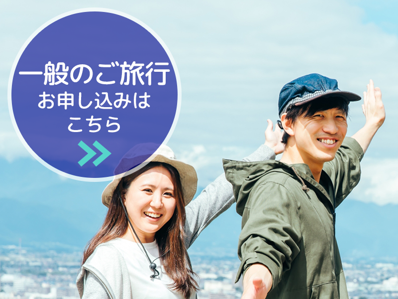 一般旅行