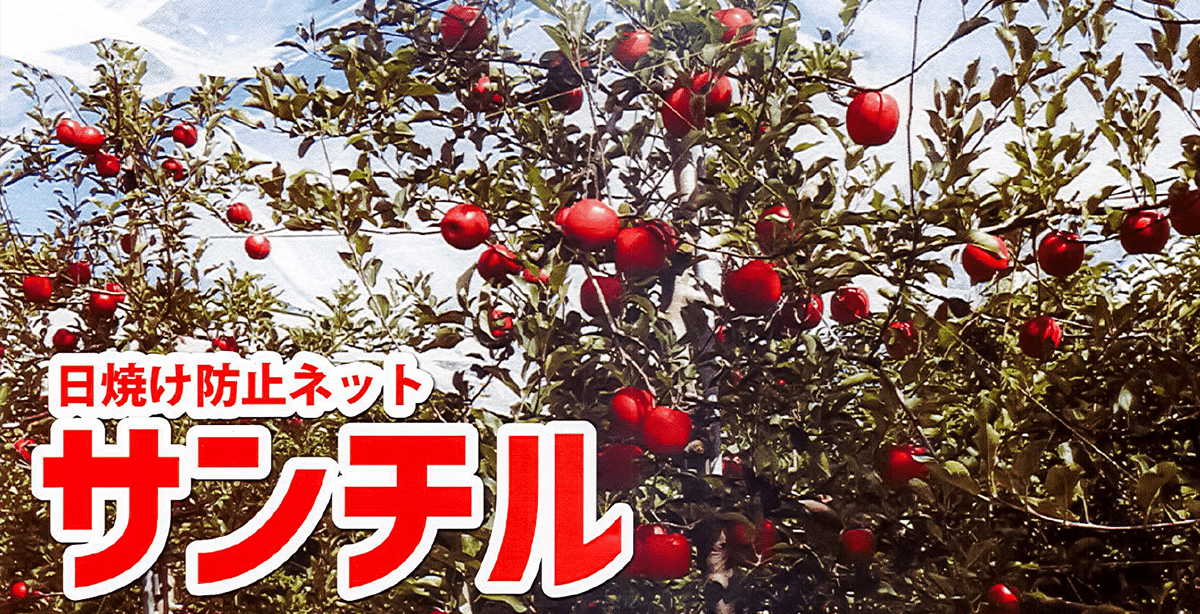 日焼け防止ネットサンチル