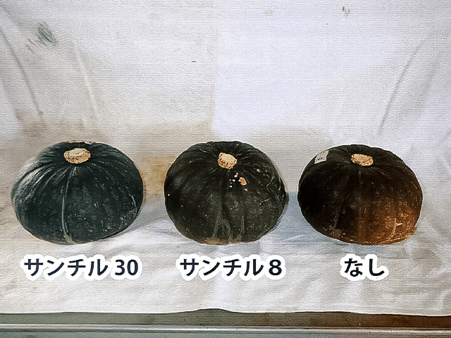 サンチル30・サンチル8・なし