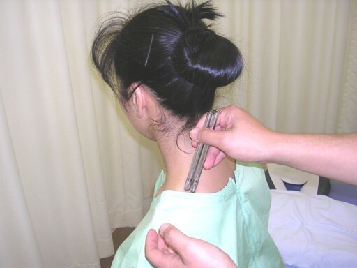 テルミー写真肩