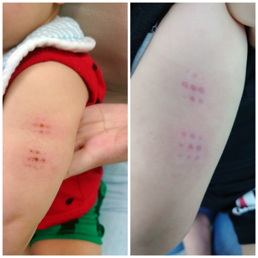 Polish_20220829_175253093