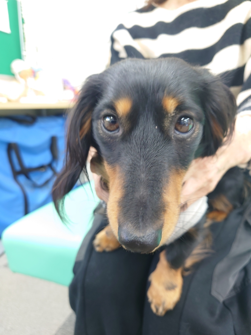 令和4年12月28日