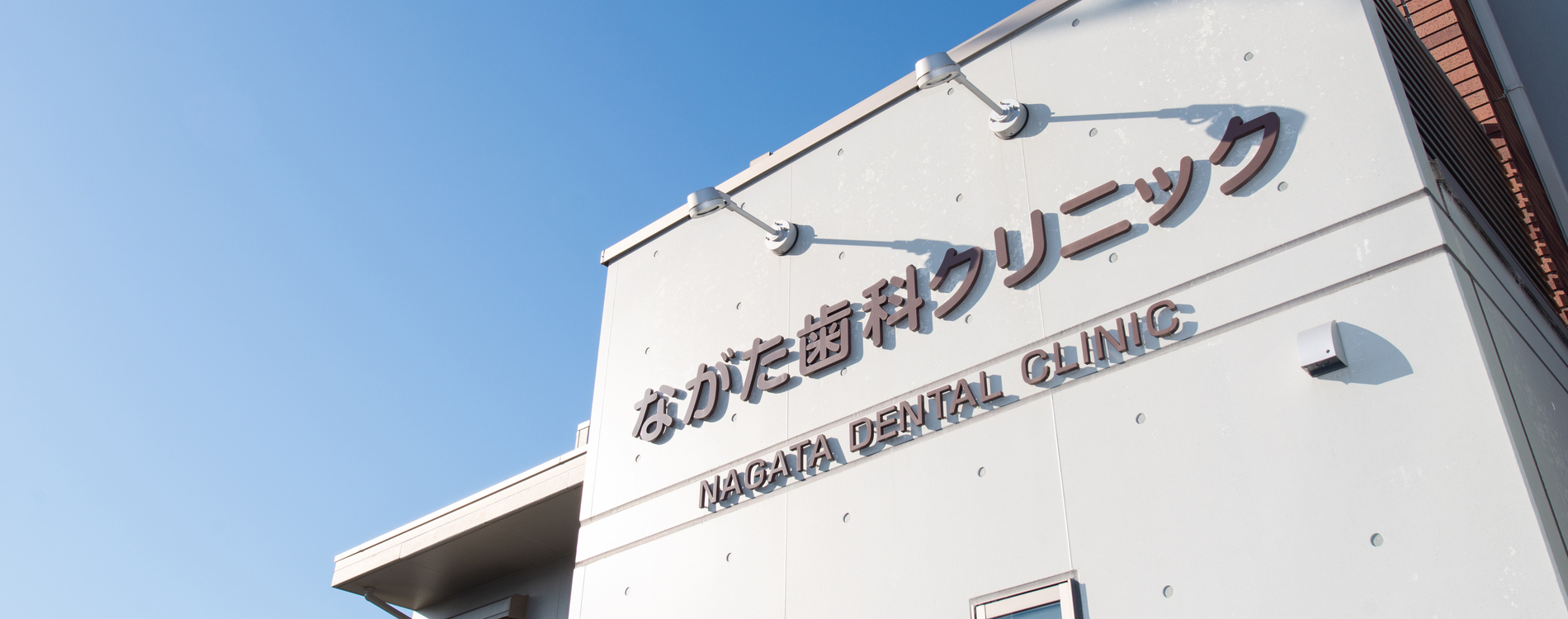 DSC_8387_コピー_コピー
