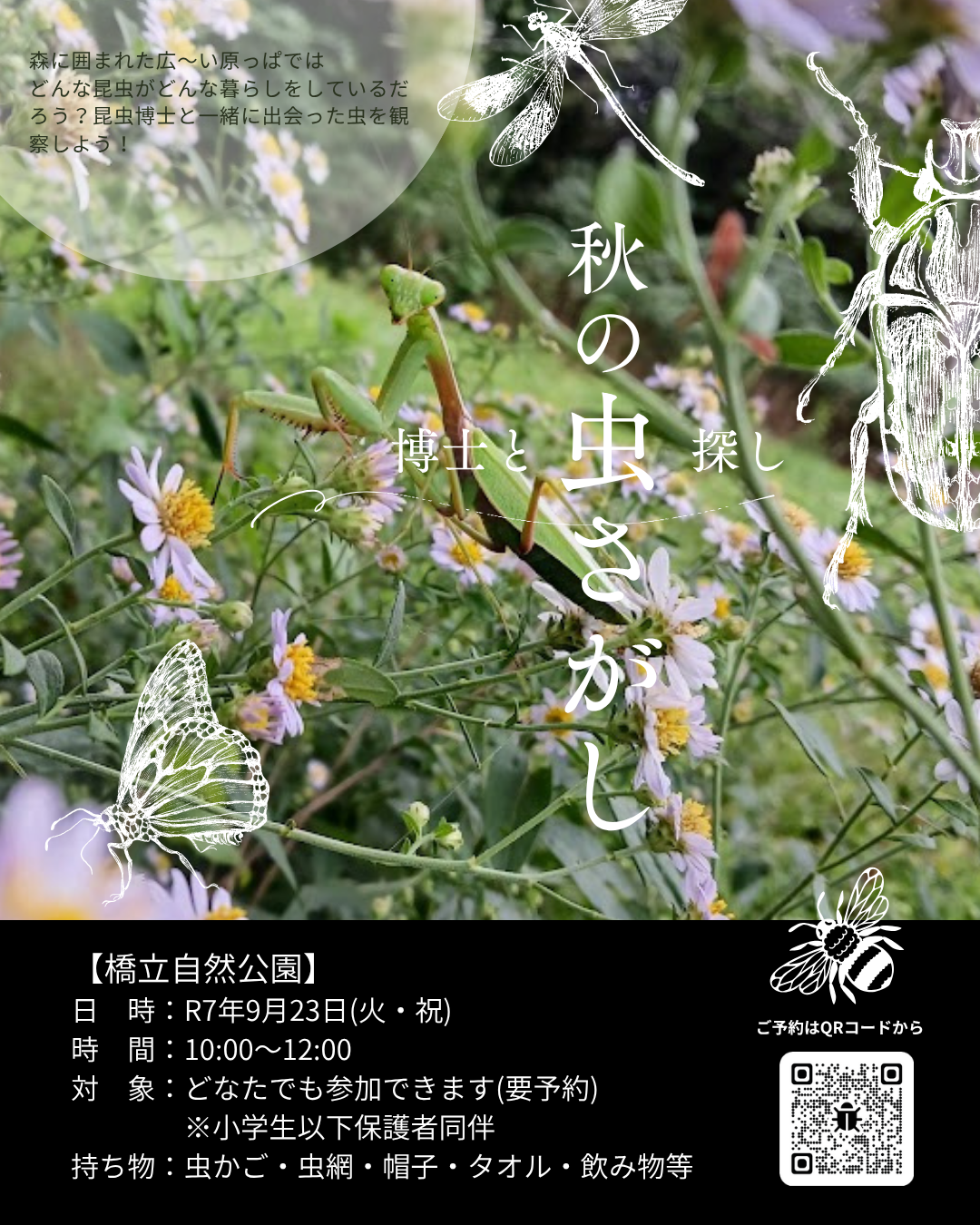 虫かごもって集まれ!