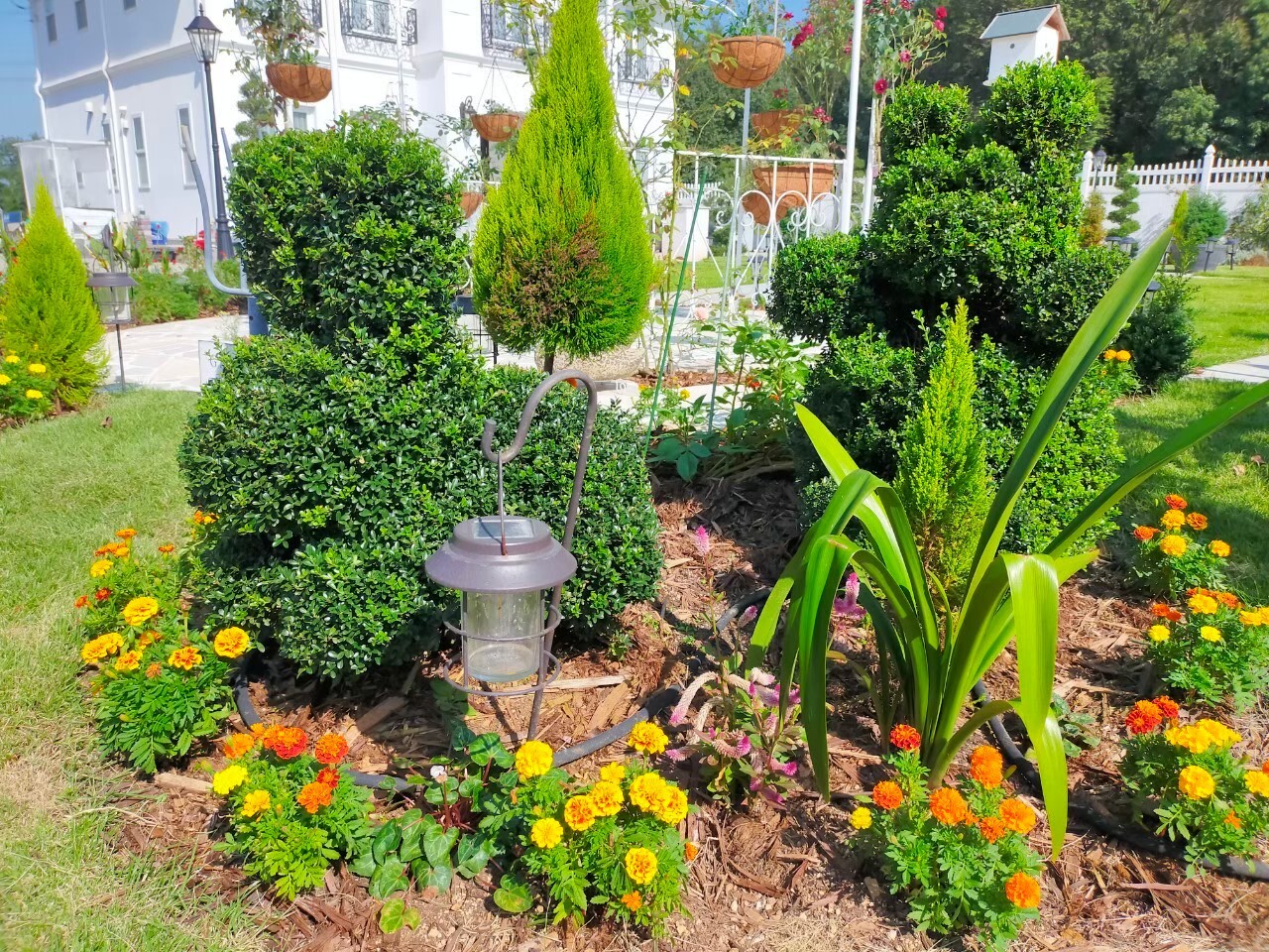 LINE_ALBUM_2021年9月_220113_6