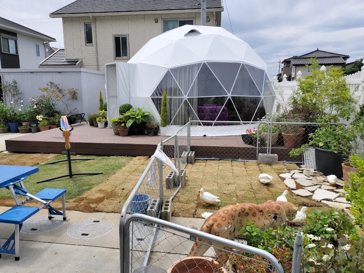 LINE_ALBUM_グランピングドーム_230601_14