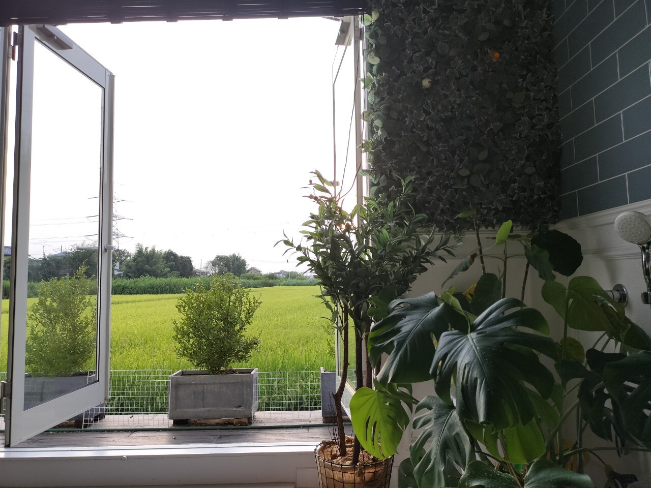 LINE_ALBUM_2023811_230818_33