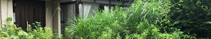 草刈り・草むしり