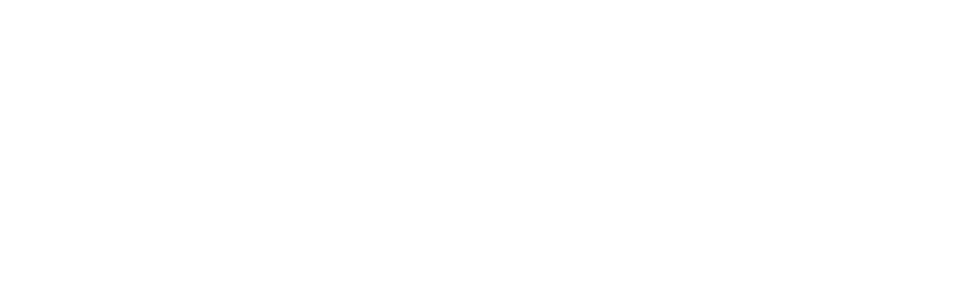 リトルベア