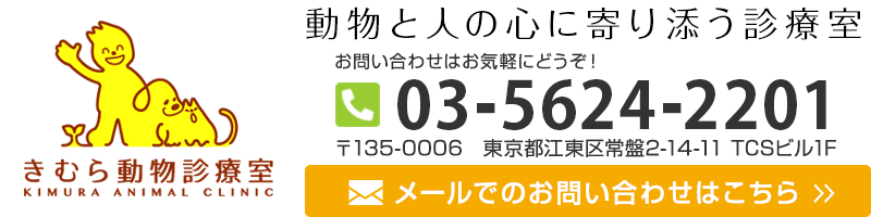 bn-kimura-clinic-w800