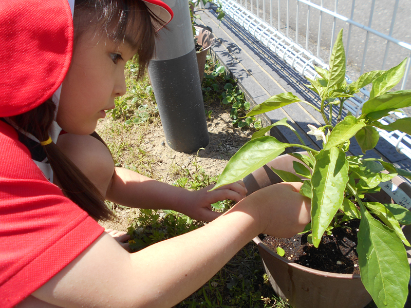 ほりうちこども園 - 食育②