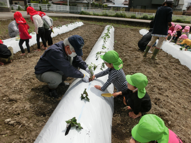 地域交流 苗植え