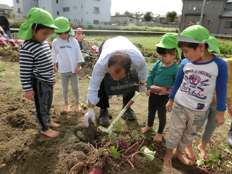 地域交流 いもほり