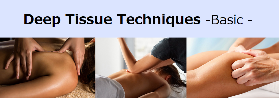 総合サイト BASIC バナー PNG