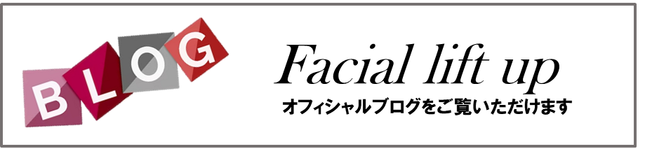 faceblog