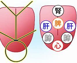 舌