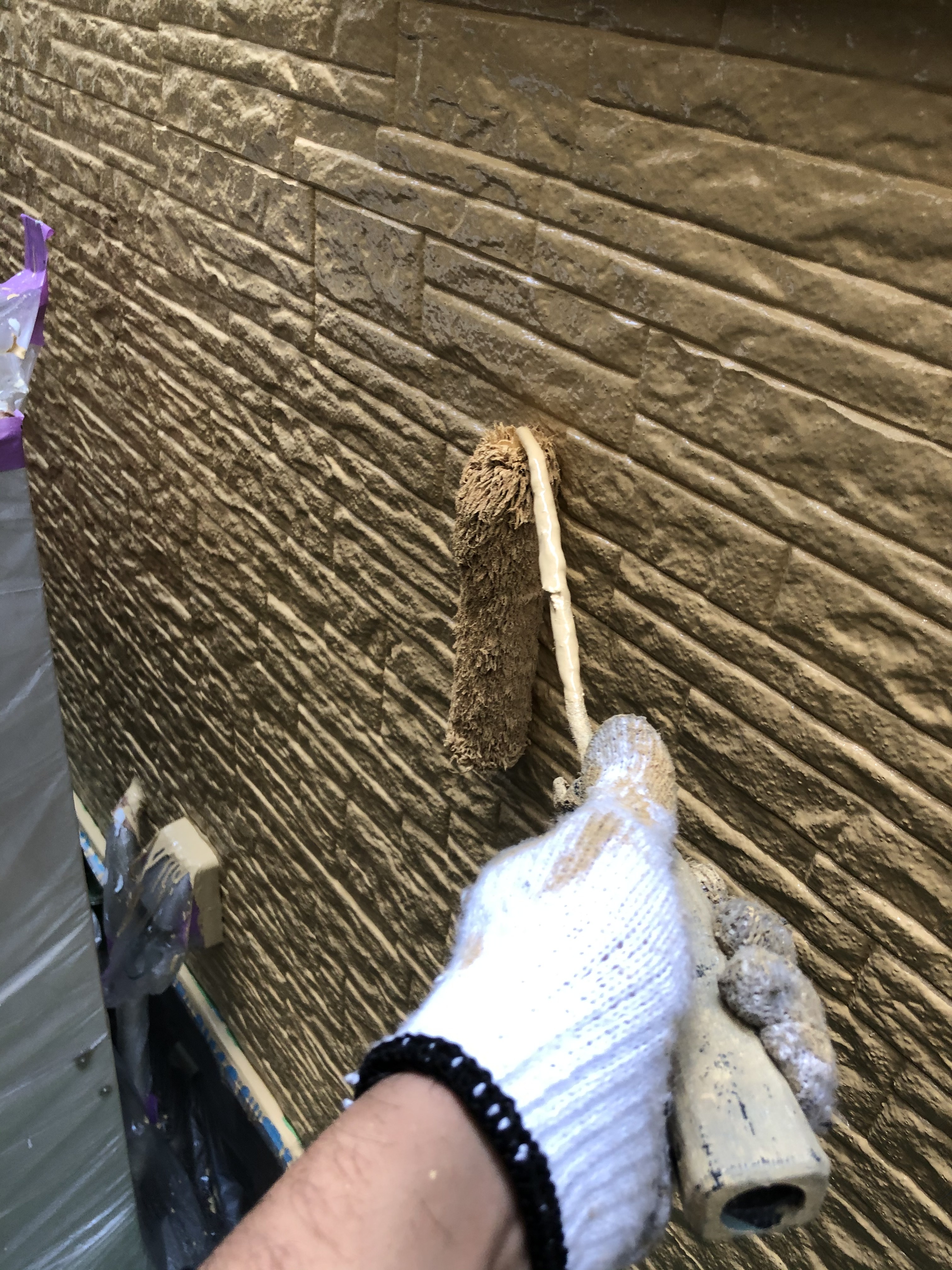 外壁アレスダイナミックMUKIMILD上塗り (3)