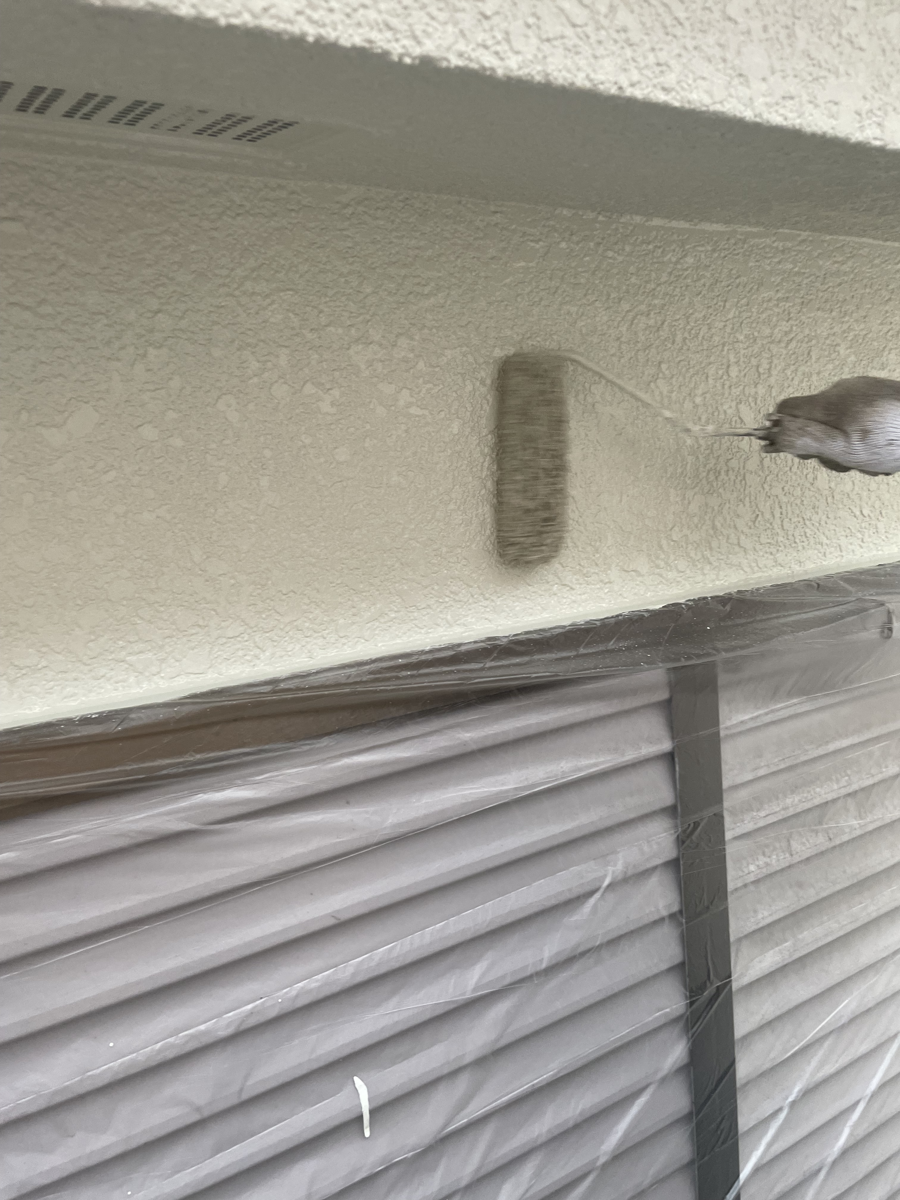 外壁セラMシリコンⅢ上塗り (1)