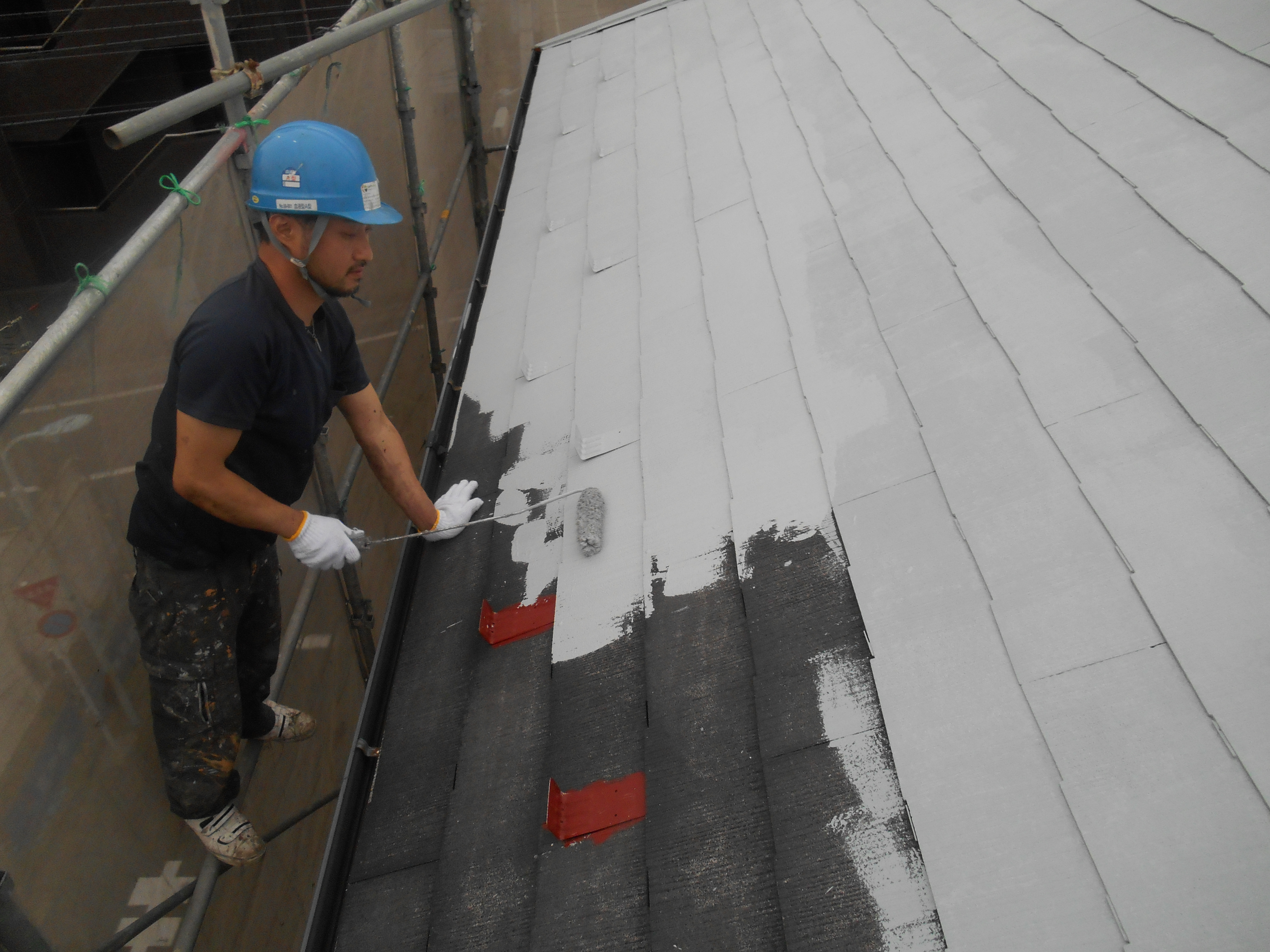 屋根 アドグリーンコート中塗り (11)