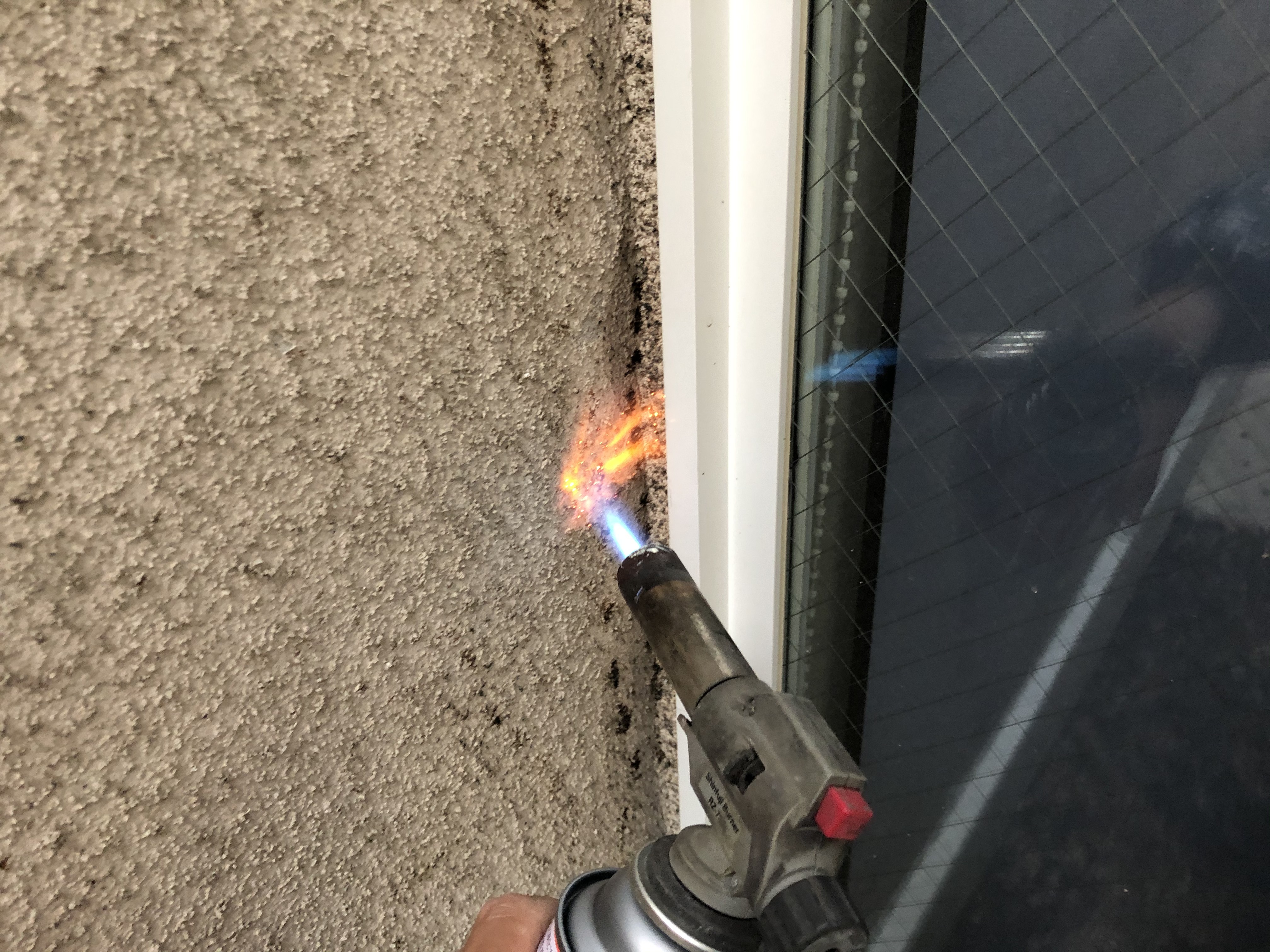 ツタバーナー焼却 (8)