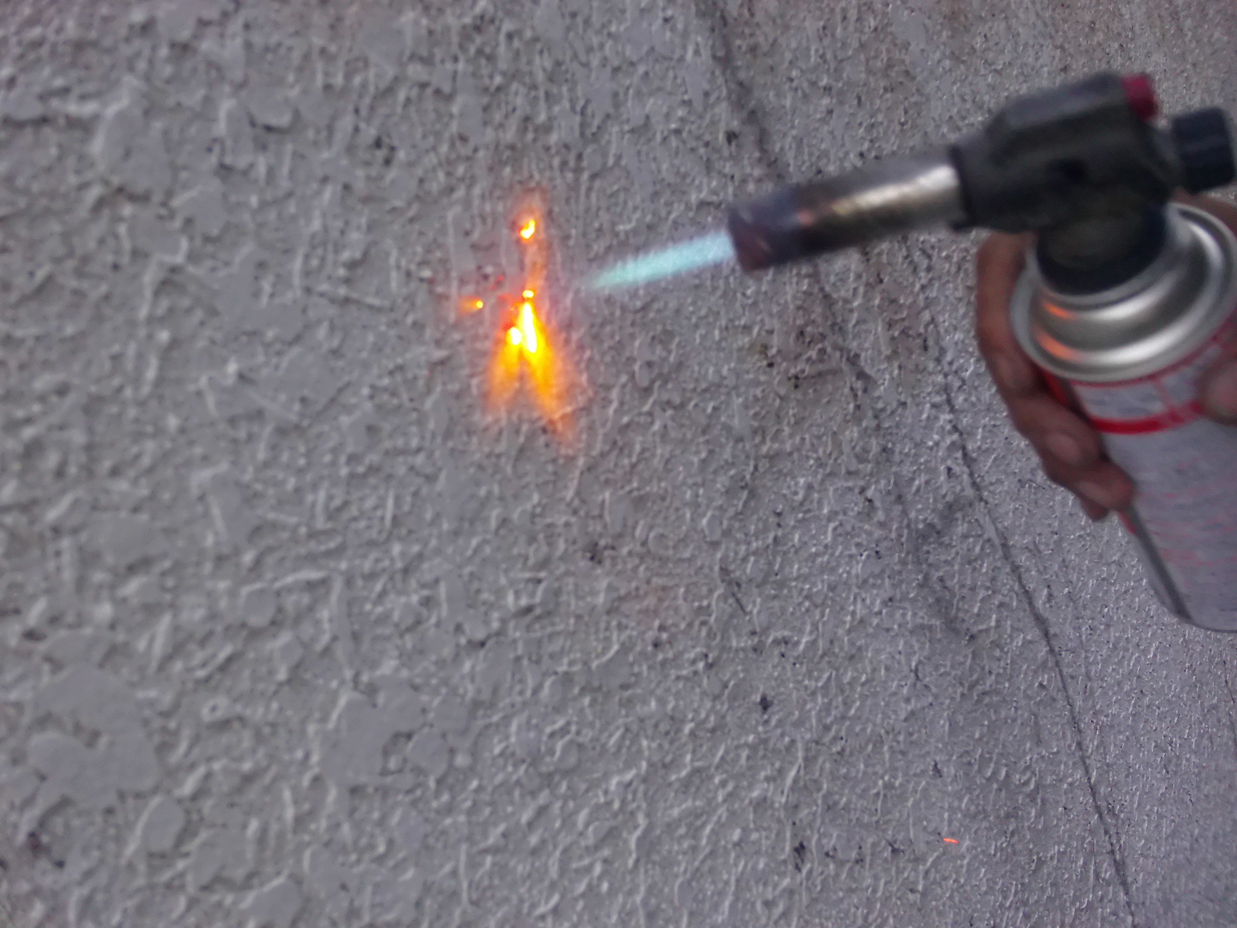 ツタバーナ焼却撤去 (5)