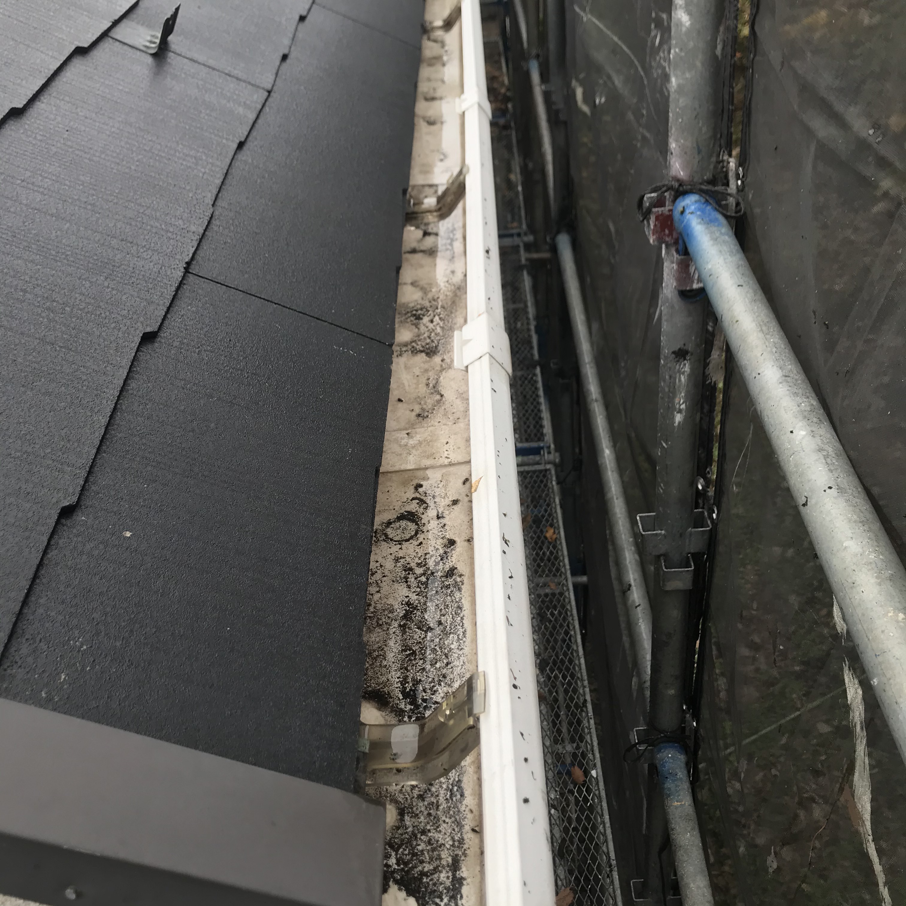 外壁・屋根高圧洗浄 (4)