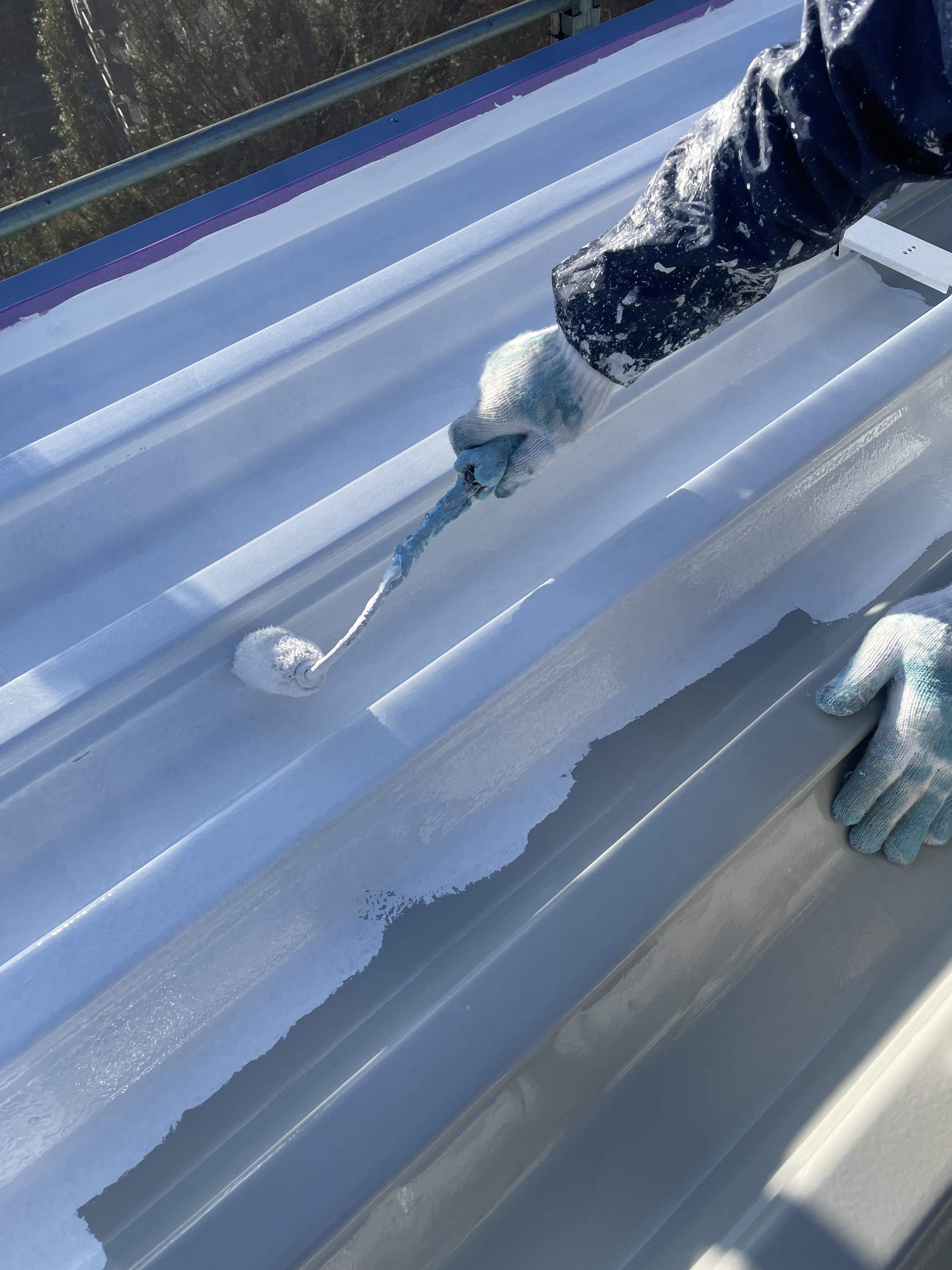 屋根折板の上塗り (12)