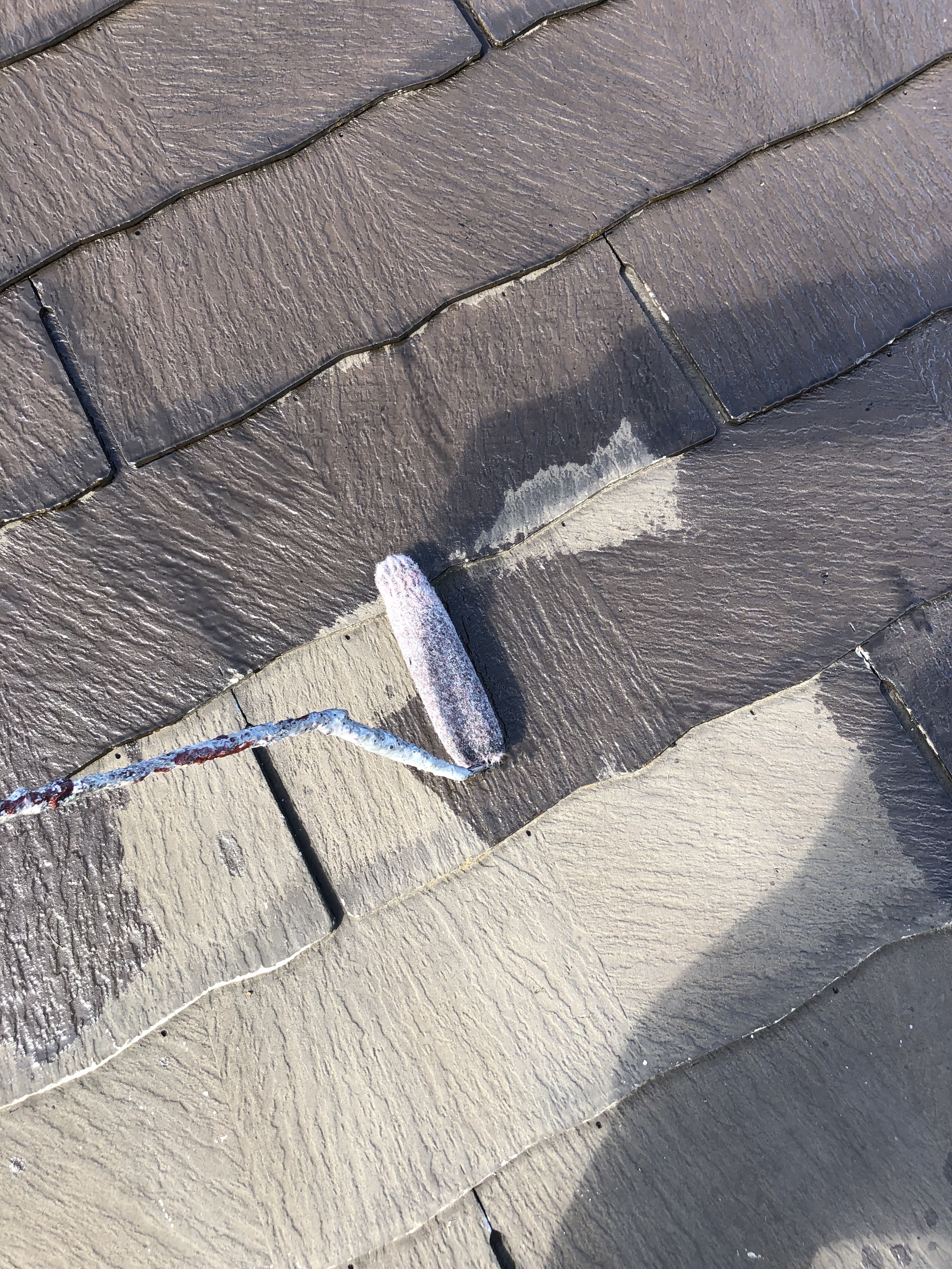 屋根アレスダイナミックプライマー塗布 (6)