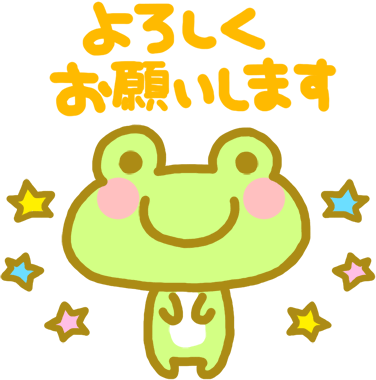 29081