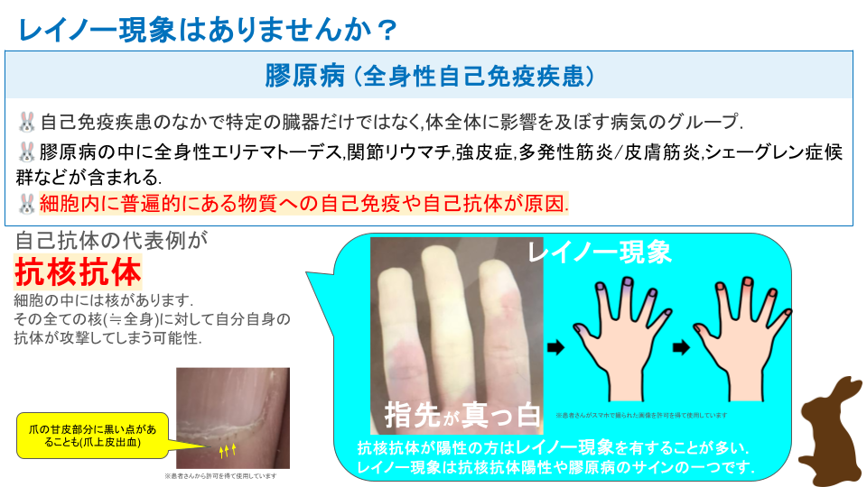 抗核抗体・膠原病とは (3)