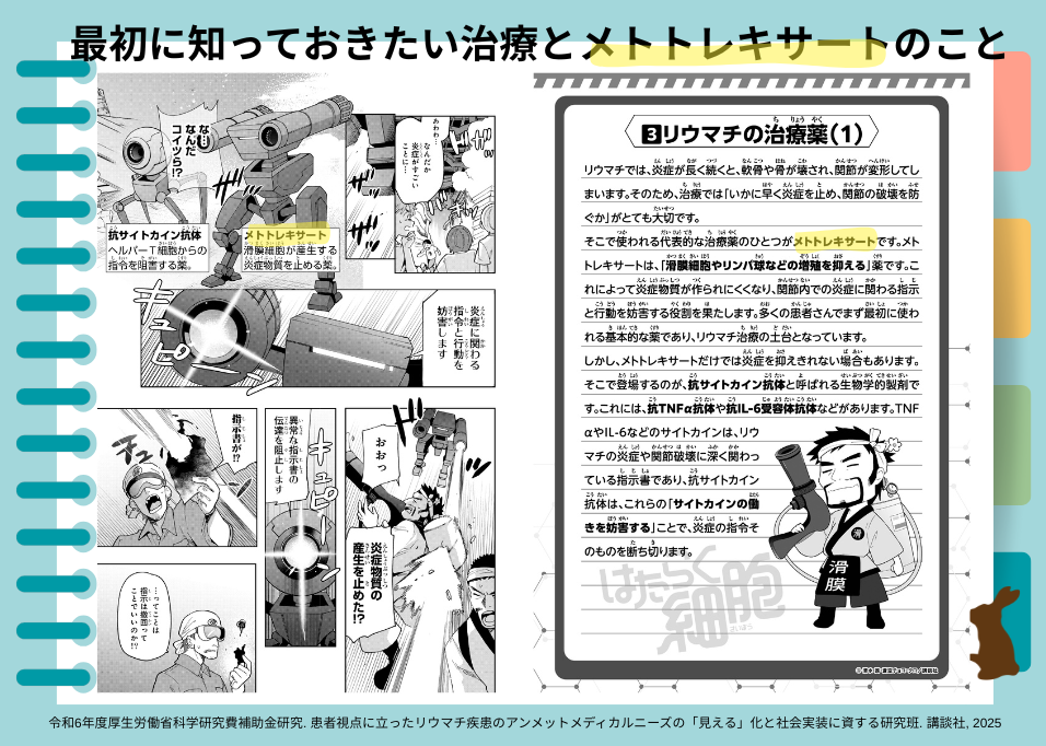引用元:令和6年度厚生労働省科学研究費補助金研究. 患者視点に立ったリウマチ疾患のアンメットメディカルニーズの「見える」化と社会実装に資する研究班. 講談社, 2025