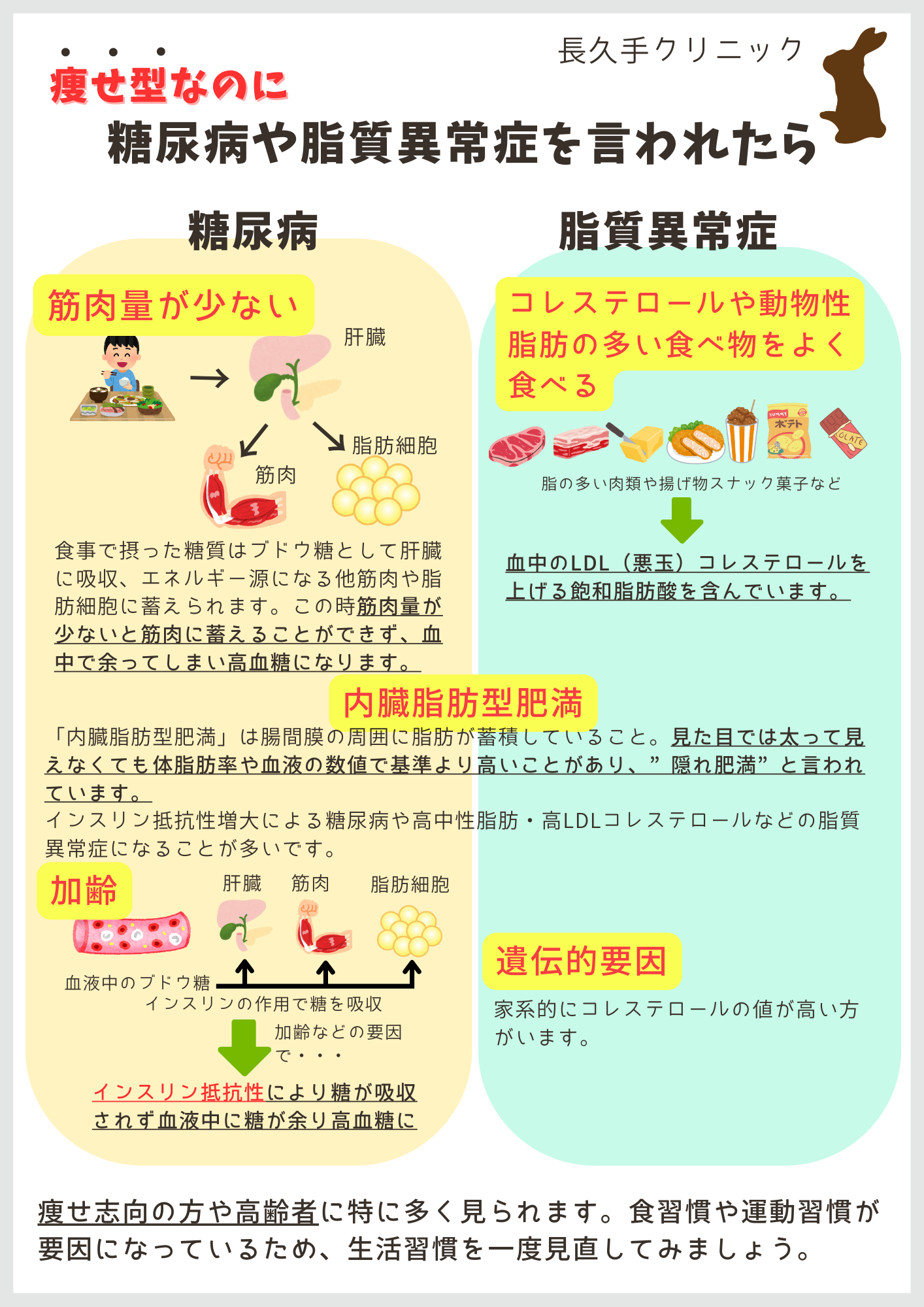 痩せ型の糖尿病脂質異常症 (1)