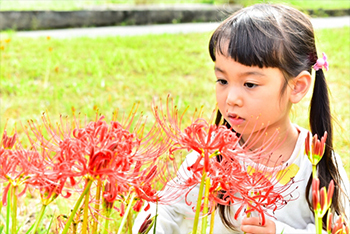 子供のころ嫌な思いをさせられた母親が許せない