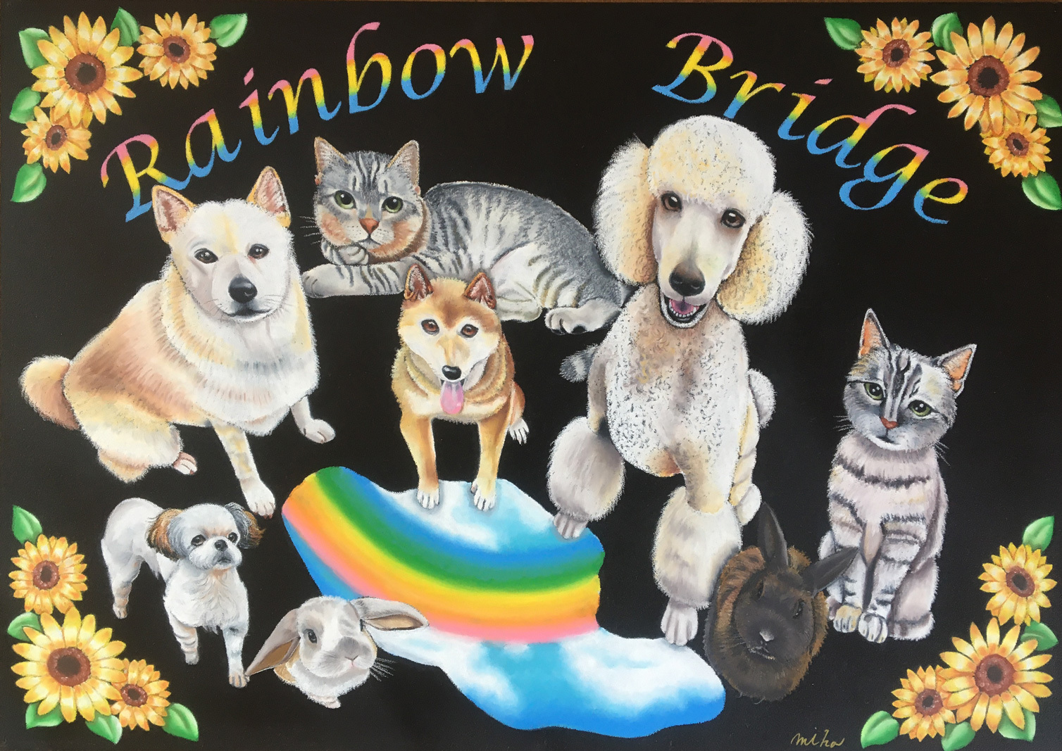 9B8B9099-490B-4A48-AE62-CE2A8E8BF63A