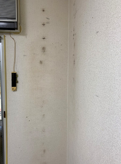 クロスアート事例1before