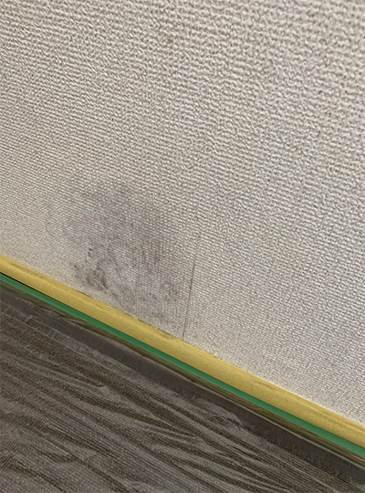 クロスアート事例2before