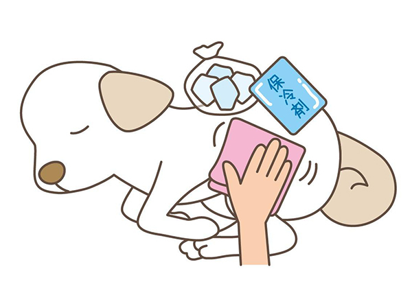 からだを清めてあげましょう