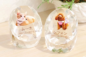 オプション品