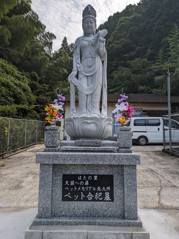 PXL_20230825_235227360_コピー