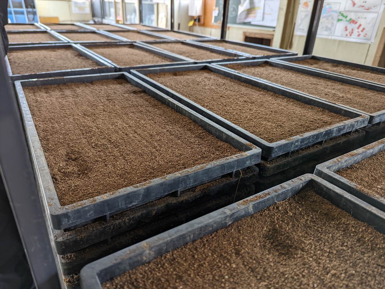 PXL_20220330_024001591_R